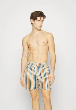 Swim With Elastic Waist Striped - Zwemshorts - Multi Color