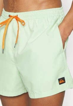Quiksilver Everyday Volley 15 - Zwemshorts - Light Green -Heren Mode Boutique 45d04df65338426dac4f13819646b002