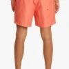 Quiksilver Everyday Deluxe Volley - Zwemshorts - Grenadine