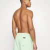 Quiksilver Everyday Volley 15 - Zwemshorts - Light Green