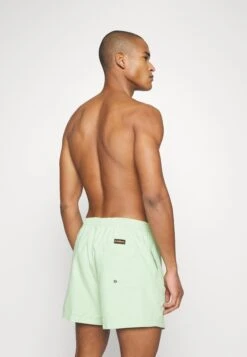 Quiksilver Everyday Volley 15 - Zwemshorts - Light Green