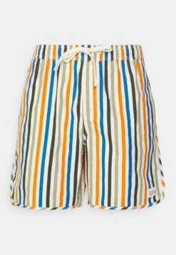 Swim With Elastic Waist Striped - Zwemshorts - Multi Color -Heren Mode Boutique fdbb4e215a094f1fa95bc094c3be00d8